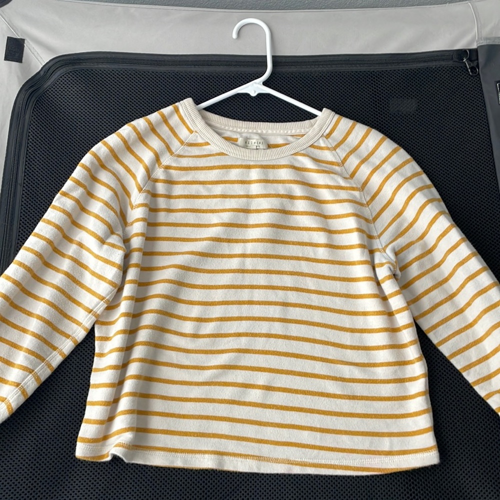 xs striped crop sweatshirt